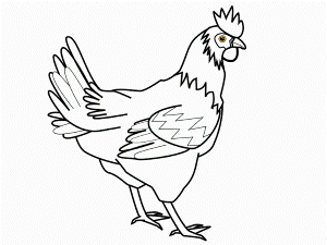 Coloring Pages Of Chickens | Best Coloring Pages