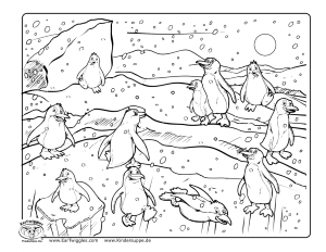 Name Cute King Penguin Coloring Page Resolution Id 69277 74292