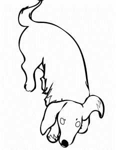 Dachshund Coloring Page Handipoints 51600 Dachshund Coloring Pages