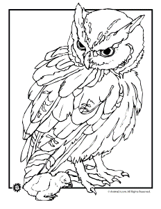 Coloring Pages Animals Realistic | Free coloring pages for kids