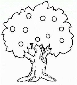 Apple Tree Coloring Page Educations